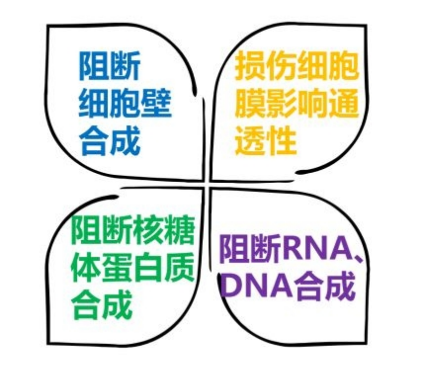 抗生素的種類和作用機(jī)理