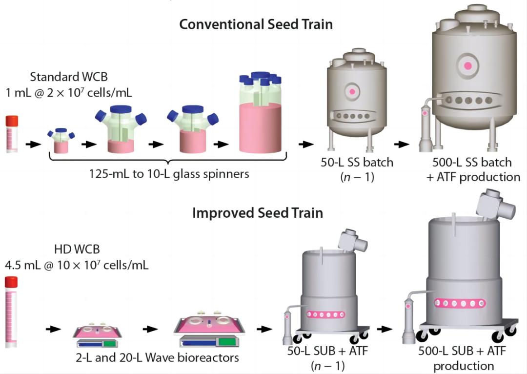 常規與改進的細胞培養工藝過程比較